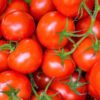 Paradicsom