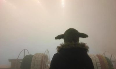 81634146 10158037970607728 3370987433968533504 n