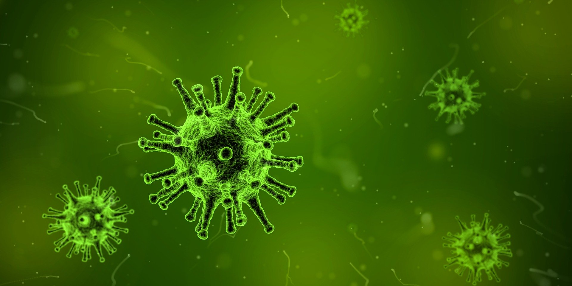 Virus 1812092