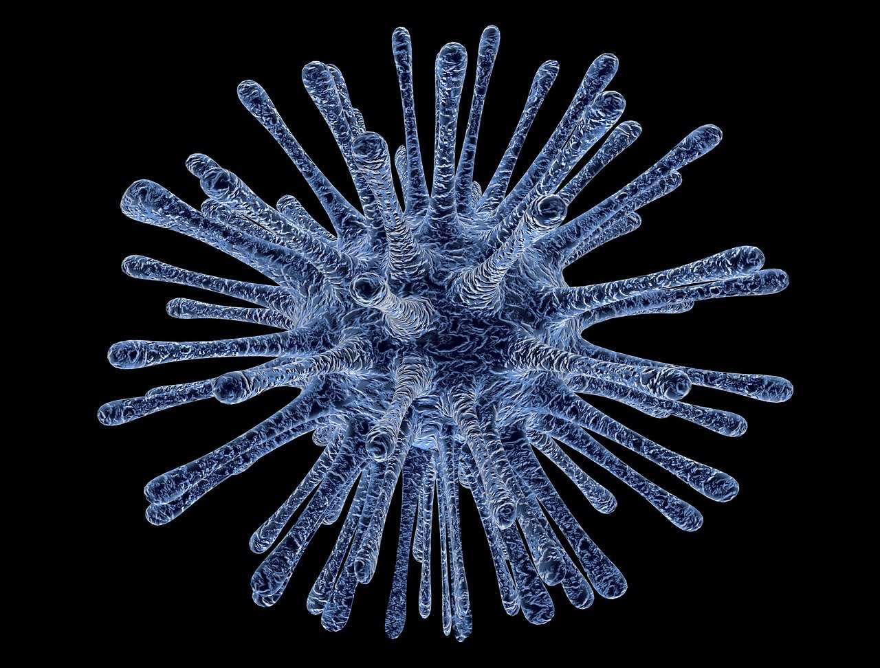 Virus 213708