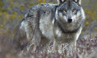 005A5E7B 3F03 4355 BE02 7DD2B3FFE11A