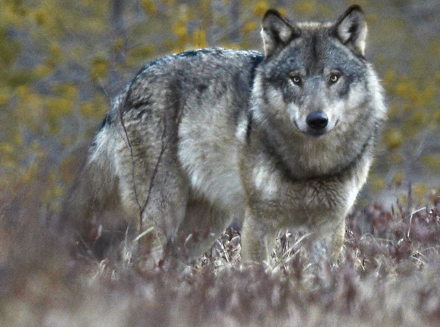 005A5E7B 3F03 4355 BE02 7DD2B3FFE11A