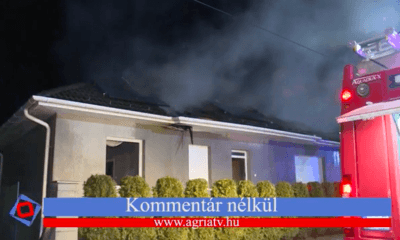 Képernyőfotó 2020 02 15 10.47.37