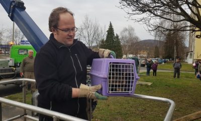 89443735 2856625471051555 5695141774255718400 n