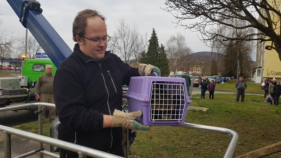 89443735 2856625471051555 5695141774255718400 n