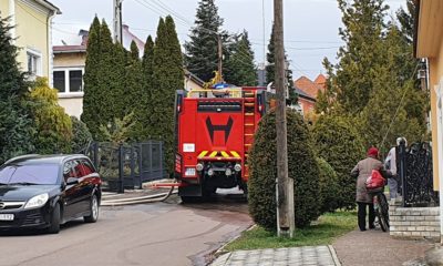 90780911 522719545311527 4290434632328937472 n