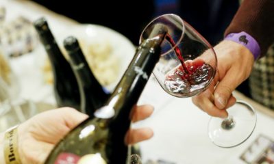 Bikaver nemes robert e1491572921223