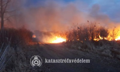 Szabadteri tuz