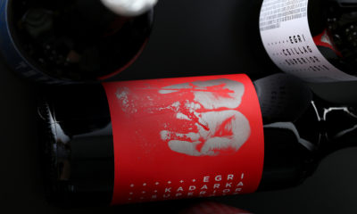 2DE0B71C 2BDD 4C7C 9ABA 0BE2EFA4F046