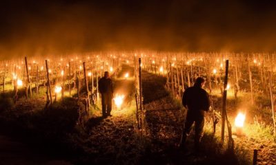 Időjárás füstölés