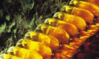 4F595FCA 069F 4130 AB44 1EC56E68EDBB