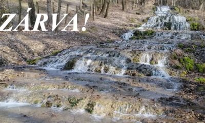 92433130 1522937287865172 2854255138288173056 n