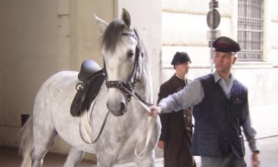 C2D0AB54 8EFF 449C B5CA 725FEFE92518