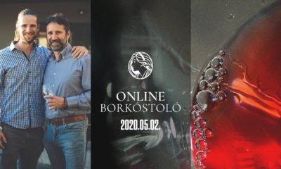 D4ECFFFA 37D3 437C B2AB 765045A51E48