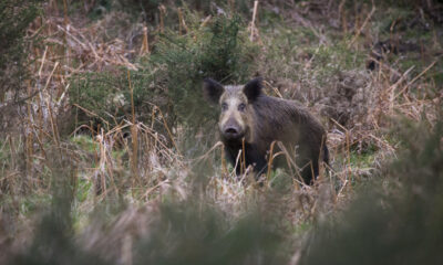 1578382000 pgfupiq3d md