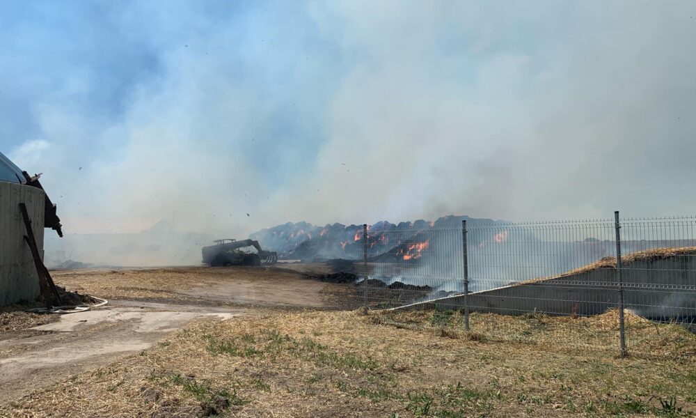 56A64E4B 55A2 498D BDDA A522DD8FDCBE