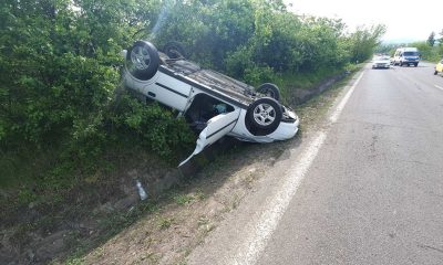 95794516 2975283902519044 8322166350579499008 o