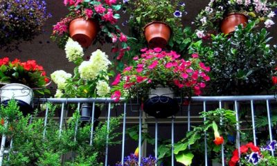 9DD023D7 2680 4AF2 BA8E B06EE0CA446A