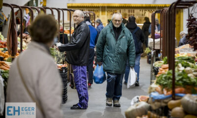 C583F3BD 0356 46FB AE29 B22C558AA6EC