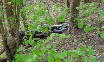 F5E03D5C 1F1E 436A 8B08 1574D5D3A21B