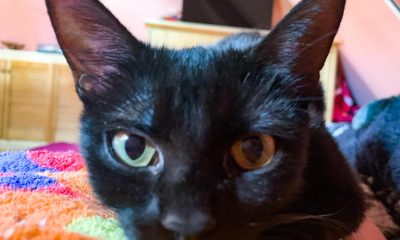 FF47EF81 929E 46E6 9947 22C58834E9D6