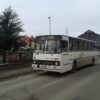 Busz