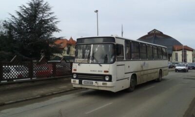 Busz