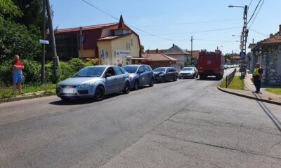 117292312 3229345760446189 5296996947436256696 n