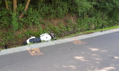 117601655 3230116833702415 6638954704467190070 n