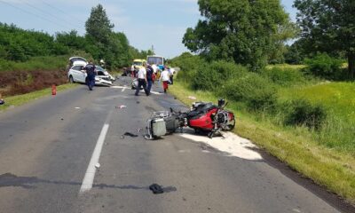 117627702 3226444844069614 7546013930361810267 o