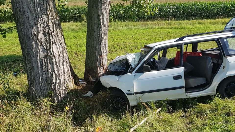 117989965 3261441447236620 3321504983456517907 o