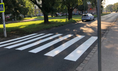 Zebra 3