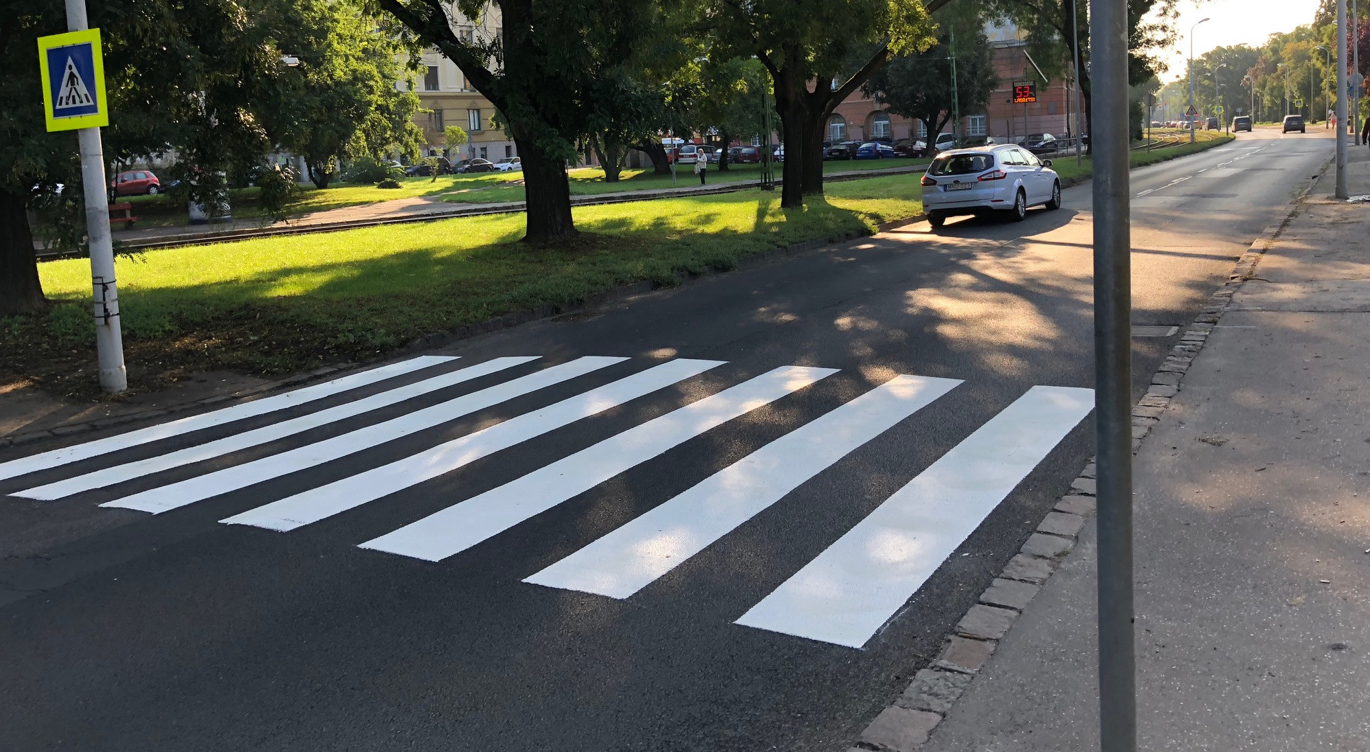 Zebra 3