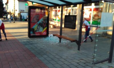 119000374 3264894203589615 1656976664317000819 o