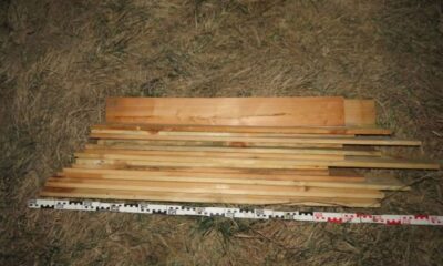 F8F2E08D 1E90 4F0D B5DB 254285A7D452