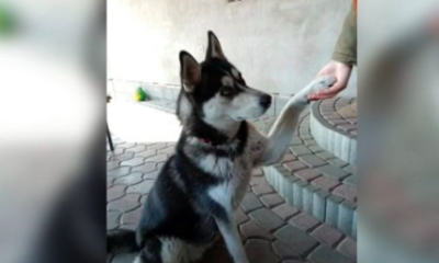 Képernyőfotó 2020 09 19 21.24.27