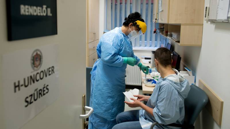 Koronavirus mintavetel