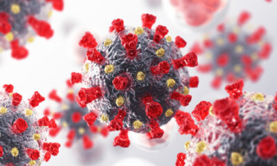 Koronaviruscoronavirus 357647