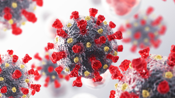 Koronaviruscoronavirus 357647