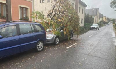 31AB5891 74DA 4173 8F21 EAD7E094FF57