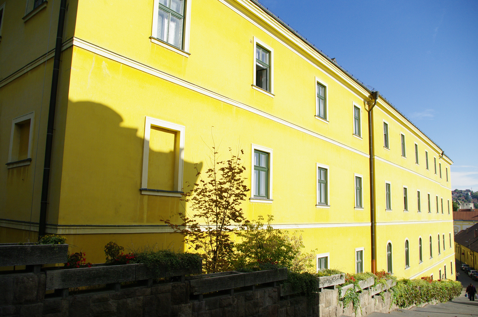 Papnevelde