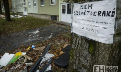 C40C01C9 AAAE 4B03 952C