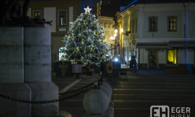 Eger karácsonyfája