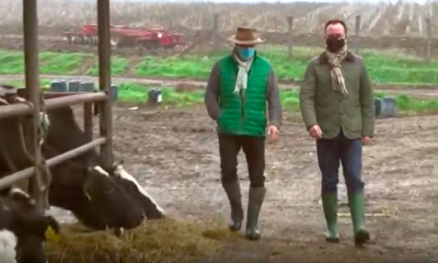 Képernyőfotó 2020 11 21 9.55.40