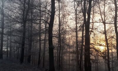 Megérkezett a hideg Kovács Máté képe