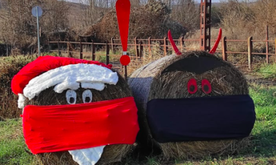 Képernyőfotó 2020 12 05 15.51.17