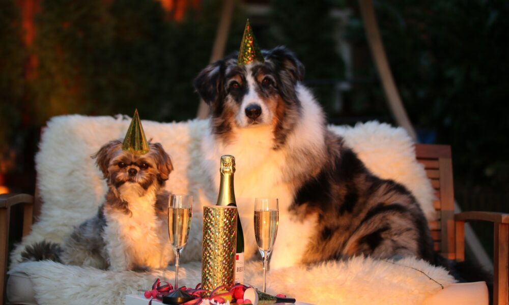 New years day 1090770
