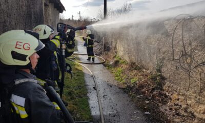 166278284 3882887191758706 6619839394063441992 o