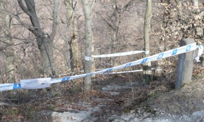 18113F23 FE3D 4984 B356 12BA775897EB