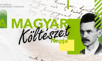 A kolteszet napja facebook o cover
